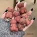 2 in 1 Keychain Bear Lipsticks Set | Matte Velvet Lipstick with Cute Bear Keychain | Beauty Makeup | A 2Pcs - Buy Online on GoSupps.com