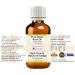 Pure Ginkgo Root Oil - Natural Therapeutic Cold Pressed (Pack of 2 100ml) | Enhance Wellness & Boost Circulation - International Shipping - Buy Online on GoSupps.com