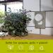 Enviroscent Non-Toxic Air Freshener Refills (Lemon Leaf + Thyme) Pack of 2 - Infused with Essential Oils - Plug-in Plug Hub - 2 Count - Buy Online on GoSupps.com