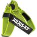 Julius-K9 Belt Harness XL/2 Neon Grey - Durable Stylish & Comfortable Pet Gear for International Shipping - Buy Online on GoSupps.com