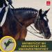 Emma Magnesium Horse Liquid - Anti-Stress Formula with L-Tryptophan & Vitamin B12 for Calm Horses - 2x1L - Buy Online on GoSupps.com