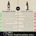 Beardpride Beard Oil for Men - 100% Natural Barbershop Formula - Softens Beards - Ideal Gift - 30ml - Buy Online on GoSupps.com