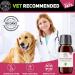 C&G Pets | Natural Worm Wood | Natural Solution For Intestinal Health No Nasty Chemicals | Powerful Colon Cleanse For Dogs Cats Poultry Birds Ferrets Rabbits & Pets - Buy Online on GoSupps.com