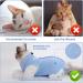 Shop Cobee Professional Cat Recovery Suit - Ideal for Abdominal Wounds & Skin Diseases | E-Collar Alternative for Cats & Dogs | Size M Blue - Buy Online on GoSupps.com