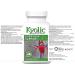 Kyolic - Aged Garlic Extract Supplements - Formula 100 Everyday Support 300mg 90 Capsules - Odorless Garlic Pills - Supports Overall Wellness Unflavored 90 count (Pack of 1) - Buy Online on GoSupps.com