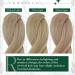 Runature Clip-In Extensions Real Hair - Dark Ash Blonde & Gold Blonde - 40cm (16 Inch) #16P22 - 50g 3 Piece Set - Quality Remy Hair - Buy Online on GoSupps.com