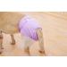 Petmia Washable Dog Diapers | Hygiene Underpants for Dogs in Heat | 5 Sizes XS to XL | Purple (M: 40-55cm) - Buy Online on GoSupps.com