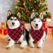 GOYOSWA 2 Pack Christmas Dog Bandanas for Large Dogs Buffalo Plaid Dog Bandana Triangle Scarf Christmas Dog Cosumes for Small Medium Large Extra Large Dogs (Red Plaid Large) Red Plaid Large - Buy Online on GoSupps.com
