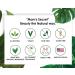 Mom's Secret 100% Natural Matte Lipstick - Organic, Long Lasting, Vegan, Gluten Free, Cruelty Free - Made in USA - 0.15 oz (Pink Chai) - Buy Online on GoSupps.com
