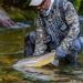 New Zealand Strike Indicator Kit for Precision Fly Fishing - Buy Online on GoSupps.com