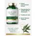 Carlyle Olive Leaf Extract Capsules 9000mg | Non-GMO Gluten Free High Potency | 100 Count | International Shipping Available - Buy Online on GoSupps.com