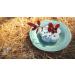 Eco-Friendly Lotus Shaped Clay Floral Holder for Happy and Wealthy Floral Arrangements - White, 2.76 inches - Buy Online on GoSupps.com