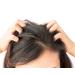 Difeel 99% Natural Premium Tea Tree Hair Oil 7.78 oz - Pack of 4 - Buy Online on GoSupps.com