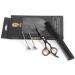 Ramaz Professional Hair Cutting Scissors Set - Extra Sharp 6.5 Stainless Steel Shears with Comb & Clips for Perfect Haircuts - Ideal for Men & Women - Buy Online on GoSupps.com