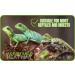 Finest-Filters Reptile Heating Mat Under Tank Terrarium Reptile Heat Pad with Temperature Control Adjustable Reptile Heat Mat for Lizard Turtle Tortoise Snake Gecko etc (30w (20" x 12")) - Buy Online on GoSupps.com