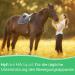 Hylmed Ha Liquid Horse 2x500ml - High-Dose Hyaluronic Acid & Collagen for Joint Support | Premium Equine Nutrition - Buy Online on GoSupps.com