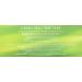 Twinings Green Tea 100 Count - Buy Online on GoSupps.com