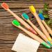 Bamboo Toothbrushes for Adults - BPA-Free Biodegradable Eco-Friendly Family Pack (5 Rainbow Colors) - Plastic-Free Packaging - Buy Online on GoSupps.com