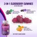 Elderberry Gummies with Zinc & Vitamin C | Immune System Support Supplement | 60 Gluten-Free Gummies - Buy Online on GoSupps.com