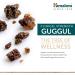 Himalaya Guggul 60 Vegetarian Capsules Helps Support Healthy Cholesterol Levels Non-GMO Gluten Free Supplement 720 mg - Buy Online on GoSupps.com