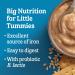 GERBER Stage 3 Wheat Biscuit Baby Cereal 6 Boxes 1.4 kg Unflavored - Buy Online on GoSupps.com