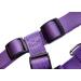 Nobby Harness Classic - Purple 70-90 cm 25 mm Width | Premium Pet Gear for International Shipping - Buy Online on GoSupps.com