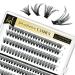 Lankiz Self-Adhesive Eyelashes - 160pcs No Glue Required 40D D Curl DIY Eyelash Extensions Reusable Pre-Glued Individual Lashes - Buy Online on GoSupps.com