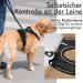 Rabbitgoo No-Pull Dog Harness for Small Dogs - Adjustable & Breathable Control Vest - Safe Guide with Reflective Stripes (Black XS) - Buy Online on GoSupps.com