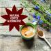 Roasted Chicory Root Granules 1lb - Caffeine Free Coffee Substitute, Keto-Friendly, Kosher - Rich in Inulin Prebiotic Dietary Fiber, Natural Tea Alternative - Buy Online on GoSupps.com