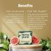 Terra Pure Shampoo Bar | Eco-Friendly Zero Waste Vegan & Plant-Based | Oil Infused by 1-Shoppe for Sustainable Hair Care - Buy Online on GoSupps.com