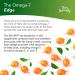 Shop Terry Naturally Omega 7 for Dry Eye Relief - 60 Softgels | Effective Eye Health Support - Buy Online on GoSupps.com