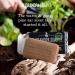 Pine Tar Bar Soap by The Grandpa Soap Company | 3-in-1 Wonder Soap for Cleansing, Deodorizing & Moisturizing | 4.25 Oz Bar - Buy Online on GoSupps.com