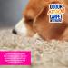 Pro-Kleen Odour Attack! Pet Carpet Cleaner Enzyme Shampoo 5L Citrus - Urine Cleaner with Active Enzymes to Eliminate Urine Faeces & Vomit Stains From Dogs Cats Humans All Carpet Types - Buy Online on GoSupps.com