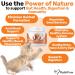 NutriPaw Digestive Treats For Cats - Gut Health Hairballs Sensitive Tums Anal Glands Scooting Loose Stools Smelly Itchy Ears - Great for all Cats - Lasts up to 2 Months - Buy Online on GoSupps.com