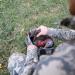 Lucky Duck Turkey Decoys HD Collapsible Jake - High-Quality Hunting Decoy - Buy Online on GoSupps.com