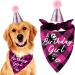 easycozy Classic Pink Plaid Pet Puppy Dog Bandana with Dog Birthday Party Hat Accessories Girl Dog Birthday Bandana Scarf Bibs for Pet Birthday Outfit Party Supplies Set