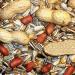 Squirrel Mixture 200g Premium Wild Life Food Garden Seed Feed SLW
