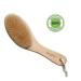 Dry Brushing Body Brush for Cellulite and Lymphatic Drainage - Natural Exfoliating Scrubber for Dry Skin - Perfect Gift for Women, Moms, and Grandmas - Buy Online on GoSupps.com
