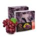 Panu soap grape - vegan shower soap for all skin types - natural soap as a fixed shower gel and solid shampoo - Premium soap bar - Natural shower chunk as a fixed shower gel grape 110 g (1 Pack)