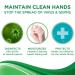 NATURAL CONCEPTS Hand Sanitizer 70% Alcohol with Aloe & Vitamin E 2 oz - Pack of 12 - Buy Online on GoSupps.com