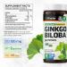 BIO KRAUTER Ginkgo Biloba Gummies - 90 Vegan Chews - Ginkgo Biloba Supplements for Brain Support - 120 mg Standardized Extract - Pectin-Based Formula - Buy Online on GoSupps.com