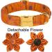 Shop Stylish Aring Pet Dog Collar with Flower - Autumn Maple Leaf Design for Small to Large Dogs | Perfect Gift for Dog Lovers - Buy Online on GoSupps.com