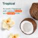 Bundle of ATTITUDE Mineral Sunscreen Stick with Zinc Oxide SPF 30 EWG Verified Plastic-Free Broad Spectrum UVA/UVB Protection Vegan Tropical + After Sun Care Stick Mint and Cucumber - Buy Online on GoSupps.com