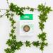 The Konjac Sponge Co Facial Puff Sponge Cleansing and Exfoliating with Antioxidant Green Tea - Deep Cleans Pores Cruelty-Free - Buy Online on GoSupps.com