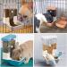 TOKAYIFE Automatic Pet Feeder 800ml Adjustable Outlet Food Dispenser Power-Free for Small Animal Cage Crate Hutch Rabbit Cat Puppy Guinea Pig Chinchilla Bird Hamster (Blue) - Buy Online on GoSupps.com