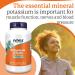Now Foods Potassium Citrate 340g Vegan Powder - Lab-Tested Minerals - Gluten Free, Soy Free, Vegetarian - Buy Online on GoSupps.com