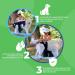Sailing Trousers for Dogs 2.0 - High-Quality Neoprene Diapers for Males - Optimal Air Exchange No Threading - Size L Gray - Buy Online on GoSupps.com