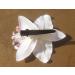 Diawell Orchid Hair Flower Clip - Elegant Blossom Corsage Accessory for All Occasions - International Shipping Available - Buy Online on GoSupps.com