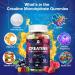 NLMUBR LUCKSIT Creatine Monohydrate Gummies - 5g for Men & Women, Creatine Gummies Mixfruit Taste with Taurine for Muscle Gain & Strength, Muscle Builder, Energy Boost, Pre Workout Supplement, 160pcs - Buy Online on GoSupps.com