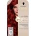handle Coloration 688 Intensive red 2 x 182 ml sustainable hair color with serum and hair mask protects against visible hair damage for 100 gray coverage - Buy Online on GoSupps.com